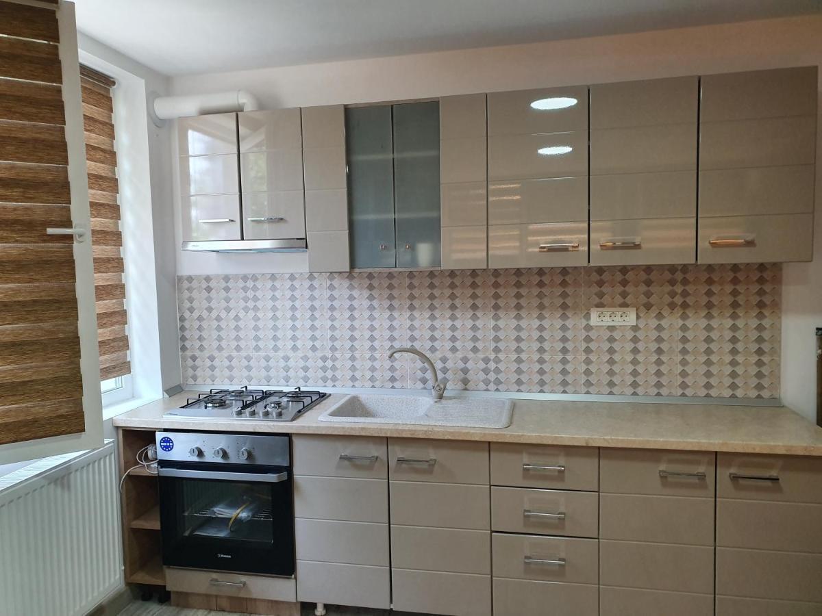 Apartament Negris Bîrlad Εξωτερικό φωτογραφία
