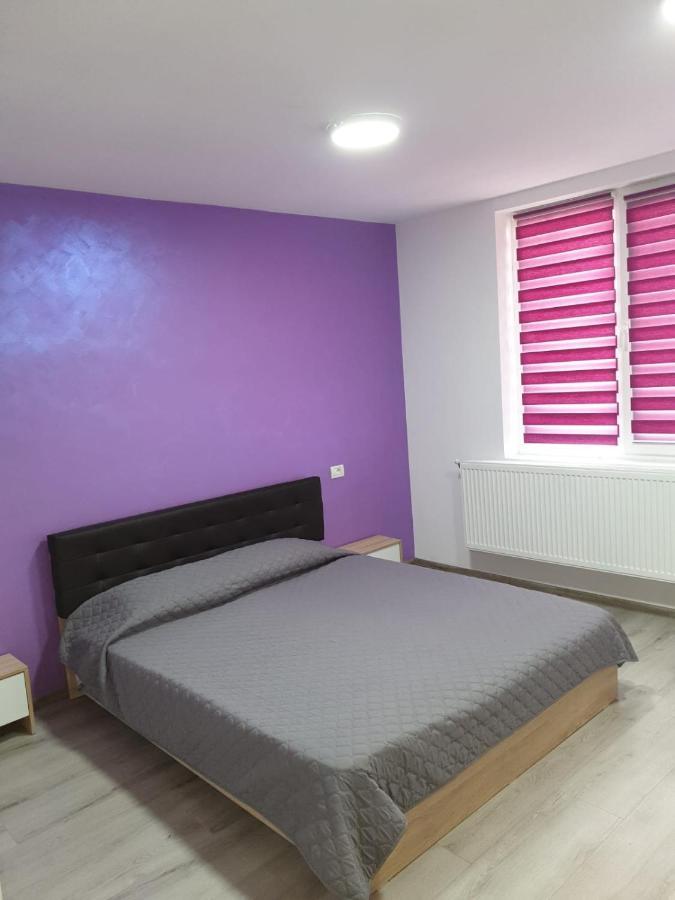 Apartament Negris Bîrlad Εξωτερικό φωτογραφία